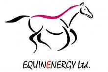 Equinenergy Limited