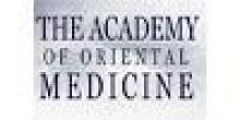 The Academy of Oriental Medicine