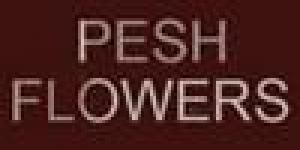 Pesh Flower School
