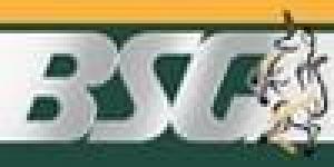 Bristol Security Group