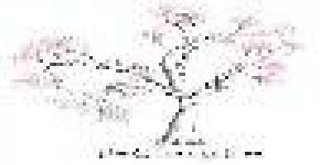 Chununga Design Studios