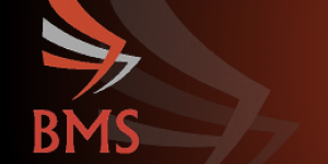 British Military Security