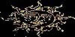 Vis Vitalis E-learning Intl.