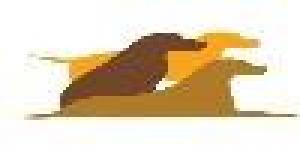 M J First Aid Training