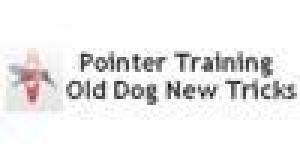 Pointer Training