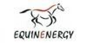 Equinenergy