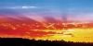 Prohealth Counselling