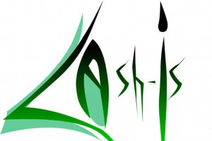 Lash-Is Limited Professional Eyelash Extensions &Training