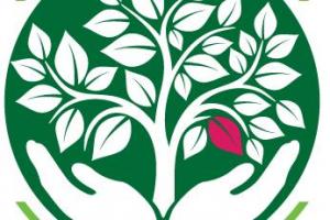 Ambient Body and Mind