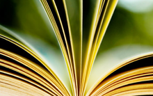 Certificate, Higher Certificate or Diploma in Science, Mathematics & IT