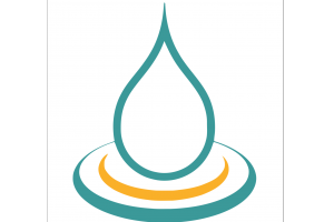 Absorb Online Learning