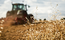 M.Sc .(Ag).Agronomy Course