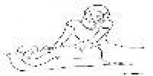 Shirley Price Aromatherapy