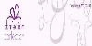 Confection Perfection