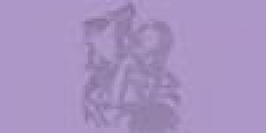 Scottish Multiprofessional Maternity Development Programme