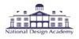 National Design Academy