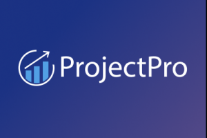 Project Pro