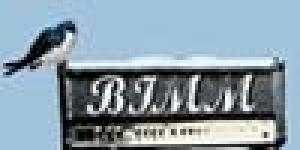 BIMM British & Irish Modern Music Institute