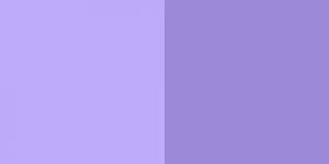 Wellness Professionals at Work