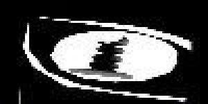 Perfect Peace School