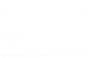 Airborne Environmental Consultants