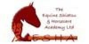 The Equine Shiatsu and Horsecare Academy
