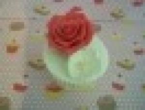 Cupcakes by Chrissie