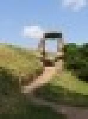 Amara Holistic Courses