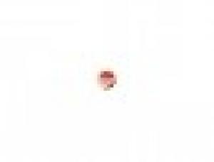 Globex Online Training