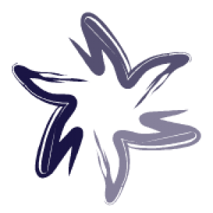 Laker Radford International Academy of Aviation Professionals