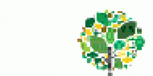 Mango Spice Language Solutions