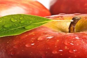 Apple Safety Services