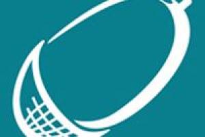The Development Company