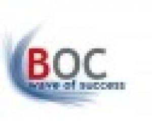 Blue Ocean Consultancy