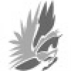 SilverFare Aviation