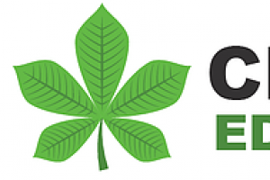 Chestnut Education Group