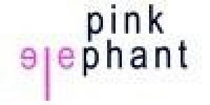 Pink Elephant Training