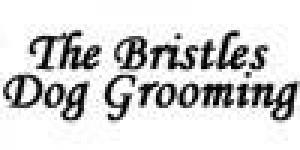 The Bristles Dog Grooming & Training Salon