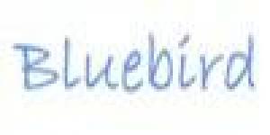 BluebirdCRM