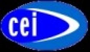 Cambridge e-Learning Institute