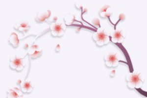 Amethyst Holistic Training