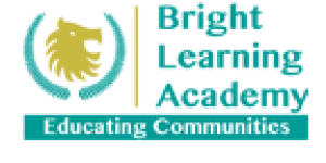 Bright Learning Advisory