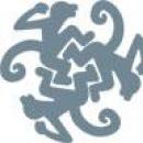 Monkey Puzzle Training & Consultancy