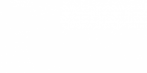 QA Ltd