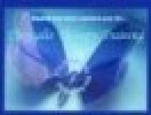 Chrysalis Therapy Training