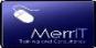 MerrIT Training and Consultancy