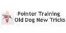 Pointer Training