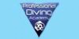 Professional Diving Academy