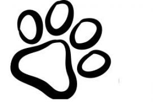 The Paw Pad Dog Grooming School