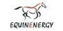Equinenergy